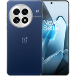 OnePlus 13